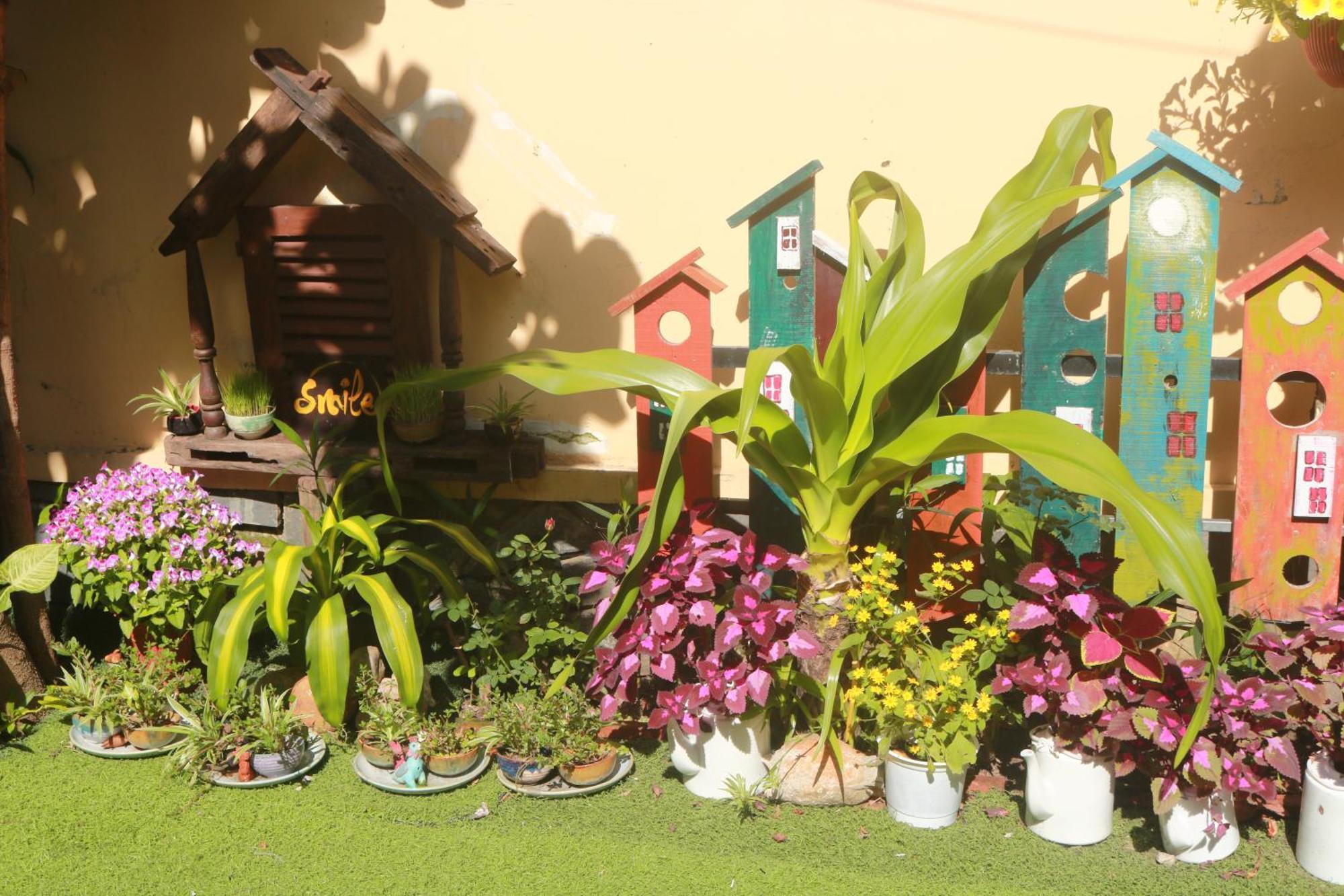 Loc Phat Hoi An Homestay Экстерьер фото